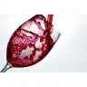 Холодильник винный CASO WineChef Pro 40 black