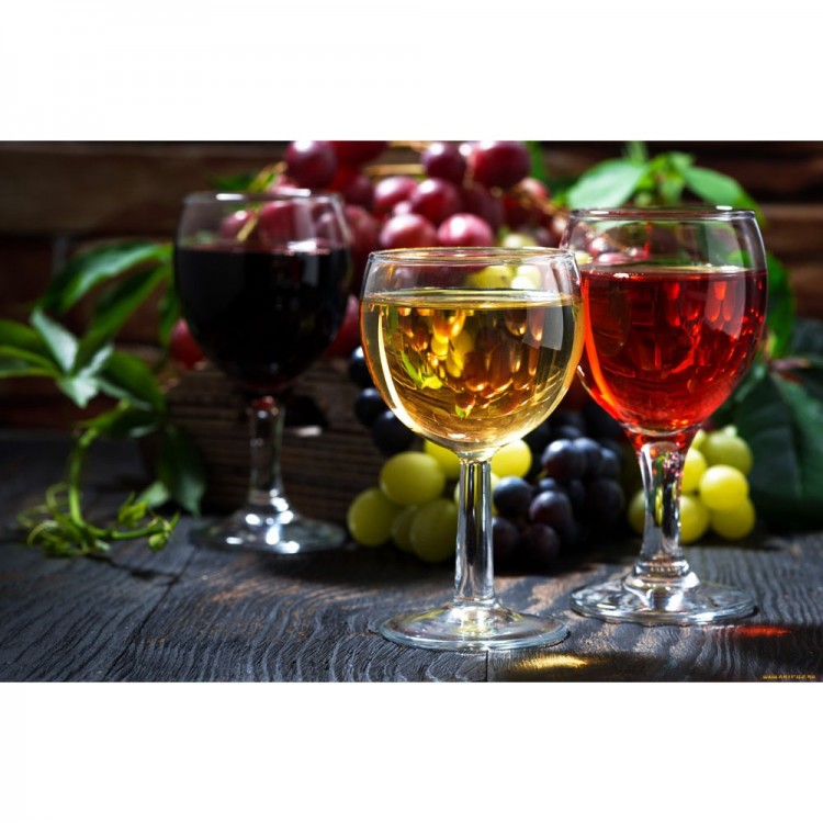 Холодильник винный CASO WineComfort 380 Smart