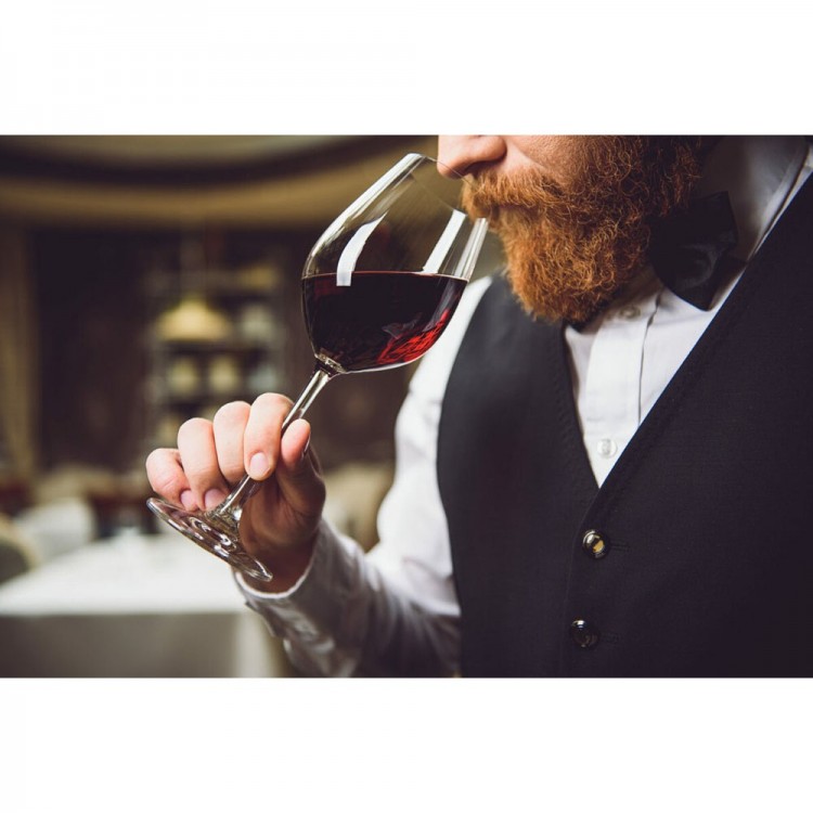 Холодильник винный CASO WineComfort 380 Smart