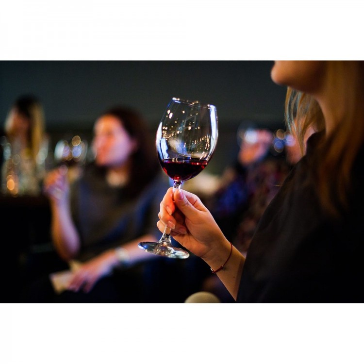 Холодильник винный CASO WineComfort 380 Smart