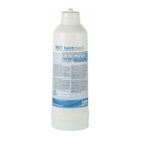 Картридж  BWT Bestmax L 