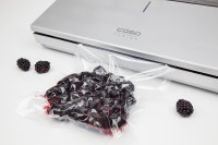 Вакуумный упаковщик CASO GourmetVAC 480