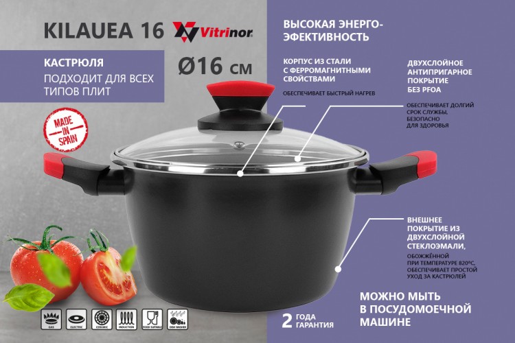 Кастрюля с крышкой Vitrinor Kilauea 16